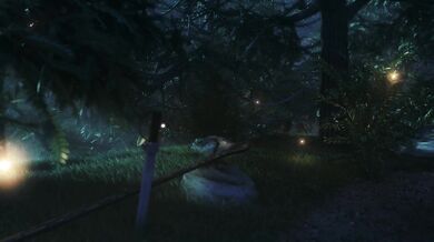 'Zoe in the night'