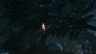 'Zoe in the night'