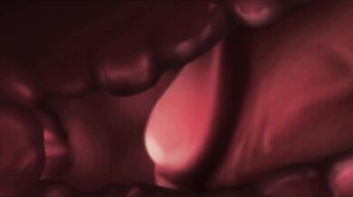 Rewritten as: "Tempting Desires: Cruise Encounter" Teaser #2