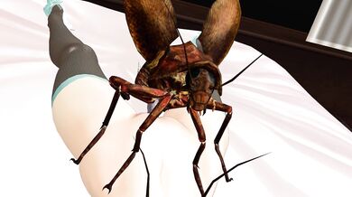 Rookie Scoring -y 11