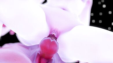 'Uncensored Hentai Fan Service: Shikigami Shinjuku, Tokyo - An Adventure in the World of Fate/Grand Order'