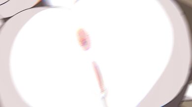 'The Furry Conversion Machine (Furry HMV)'