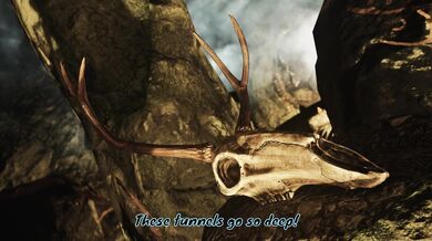 Rewritten as: "Zelda and the Expedition Preview - Skyrim Forever"