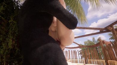 'Lost on a desert island: part one (1/2)'