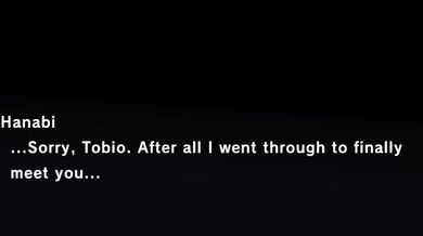 'Fireworks of the Shining Princess: Kaguyahime Hanabi'