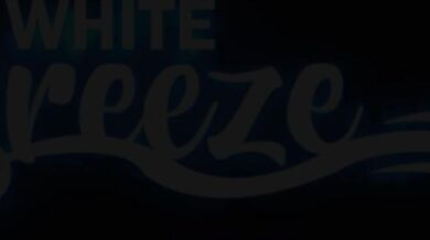 The Hitchhiker's Diary