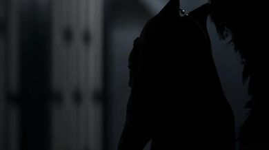 'Sexual Healing with Ahsoka Tano (Hentai Porn Parody)'