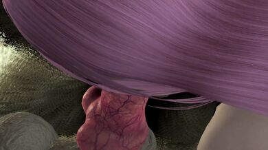 "Noise Complaint - Chapter 2: Loud and Clear"