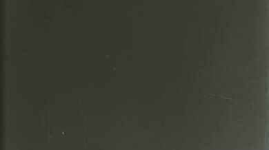 'Unleashing the Beast: The Fur and Her Wolf in Second Life'