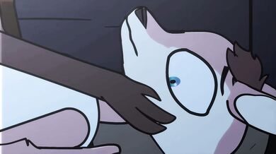 'Exploding Cumshots'