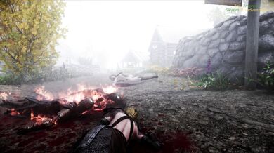 'The Tail of the Betrayed Adventurer: A Cautionary Tale of Cuckoldry and Bestiality'