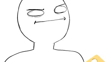 The Kittens of Cat Paradise