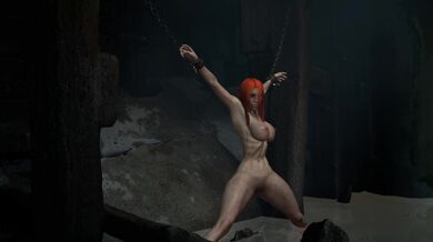 'Forgotten Nights - The Story of Two Strangers in the Woods'