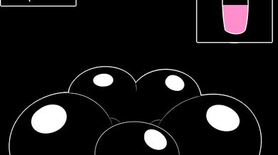 'Watching my wife sucking on a fleshlight while getting fucked from behind by Ami Hellen VA'