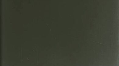 "Sexy Shemale Swallows a Cock in Second Life"