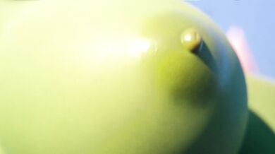 "The Goblin's Secret Wall Attack: ScragBoy's Hidden Skill Revealed!"