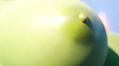 "The Goblin's Secret Wall Attack: ScragBoy's Hidden Skill Revealed!"