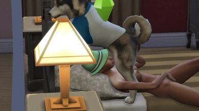 "Horny Wife Gives Her Husky a Dirty Side Bed Sex."