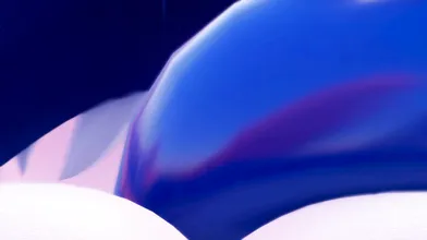 Sexual Case Study: The Evolution of the Futa. [Uncensored]