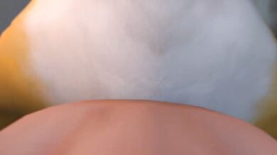 "Renamon: Taking your Mouth like a Champ in POV Hentai"