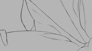 "Hentai Sex Compilation - Anything Goes"