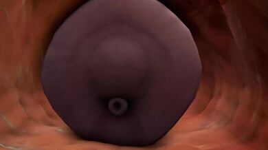 Rewritten as: 'A young woman named Casca gets brutally violated by a voracious equine creature in the most degrading and humiliating way possible'.