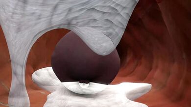 Rewritten as: 'A young woman named Casca gets brutally violated by a voracious equine creature in the most degrading and humiliating way possible'.