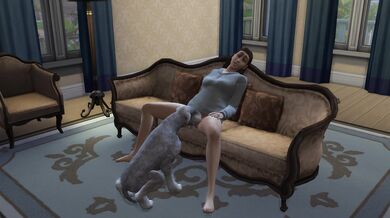 'Office orgy swallowing.'