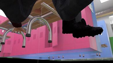 "Petite Trainer's Private Lessons {BR/PT}"