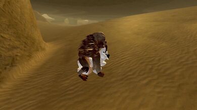 'The Forgotten Wanderer and the Mystical Oasis'