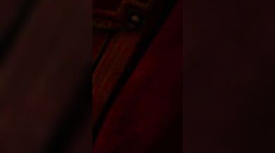 'Mutant Cocks invade the magical world: A Hentai Journey '