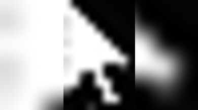 Rewritten as: 'A Superior Fox Simulator - Gameplay'