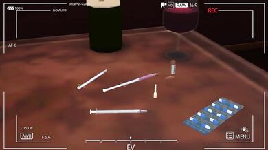 "Exotic Mating with a Roach: The Insect Love Hotel"