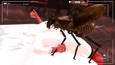 Exotic Mating with a Roach: The Insect Love Hotel