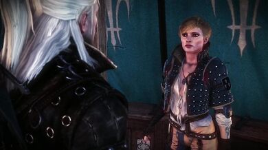 'The Witcher 2: Wild Hunt - Geralt and Triss's Steamy Lover's Quarrel'