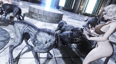 'The Petting Zoo: A Sneak Peek into the World of Bestiality'