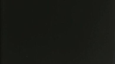 "'Furry Fetishes Fucked - Naughty Dog Gets Punished in Second Life'."