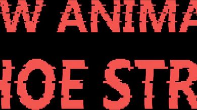 'Sexual Assault: The Deadly Fantasies '