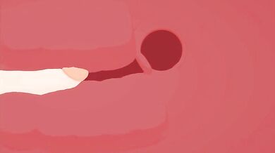 'Sexual Intercourse with a Furry Animal'