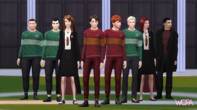 'Betrayed by a Dildo: The Slytherin Experience'