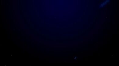 "Hogwarts, Part II: The Adventures of Harry and Ron in the Forbidden Forest"