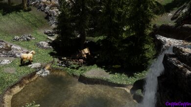 In the woods with a horse, she explores her desires.