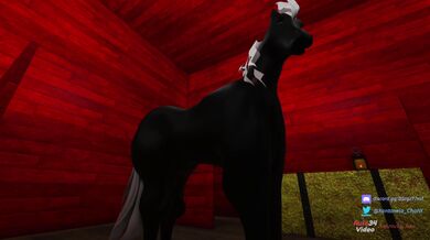 'The Horse's Dilemma'