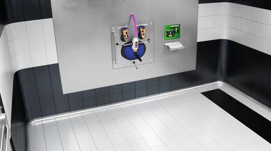 "The Hedgehog and the Tickle Monster: Sonic's Capture and Tickling Adventures"