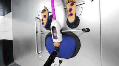 "The Hedgehog and the Tickle Monster: Sonic's Capture and Tickling Adventures"