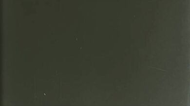 'Bad_Wolf_Hentai_Porn_-_Furry_Animation'