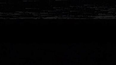 'Elderly Couple's Springtime Sexcapade with the Maintenance Man and his Giant Robot Zoid'