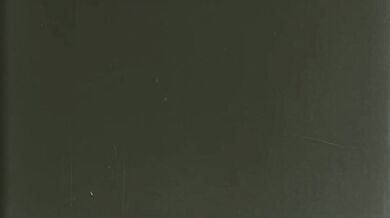 Furious Feline Forces the Furry Shark (Second Life)