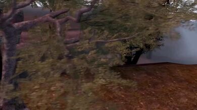 A Lustful Reunion: The Lizard Family