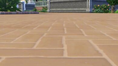 The Maids Experience - Part 3